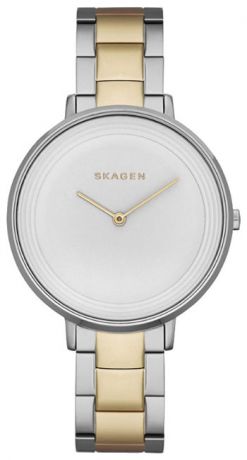 Skagen Женские датские наручные часы Skagen SKW2339