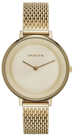 Skagen Женские датские наручные часы Skagen SKW2333