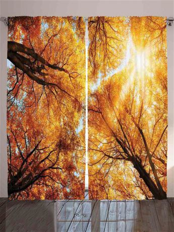Magic Lady Комплект фотоштор "Разноцветные деревья", 290*265 см