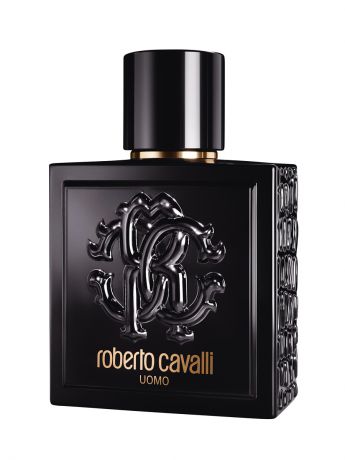 Roberto Cavalli Roberto Cavalli Uomo М Туалетная вода 100 мл