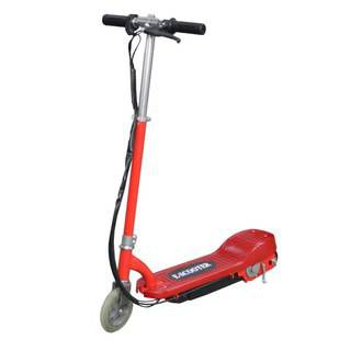 E-Scooter E1013-100 R