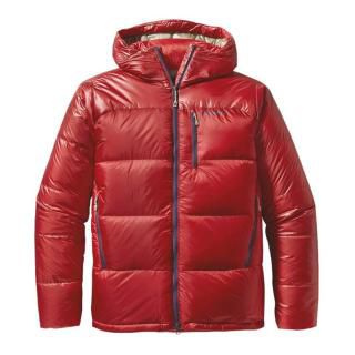 Patagonia Fitz Roy Down Parka