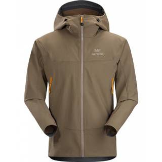 Arcteryx Gamma LT Hoody, L06610100