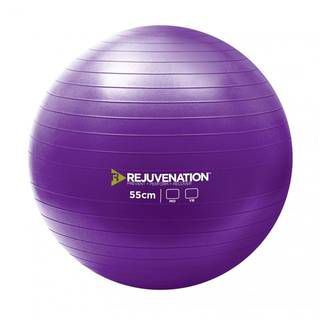 Rejuvenation Pro Burst Resistant Exercise Ball