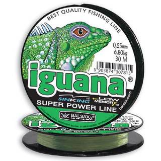 Balsax Iguana