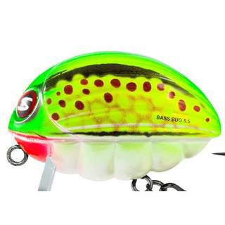 Salmo Bass Bug F