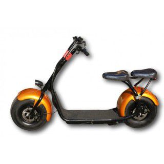 Eco-Ride CityCoCo 1000W