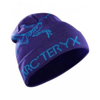 Arcteryx Rolling Word фиолетовый L06430200