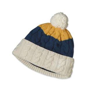 Patagonia Pom Beanie фиолетовый 28975