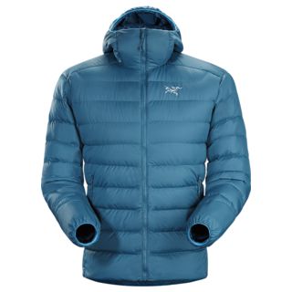 Arcteryx Thorium AR Hoody L06728400