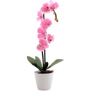 Декоративный светильник розовый, орхидея 2 старт led
