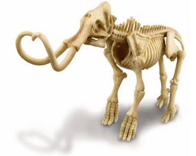 Скелет Мамонта, 4M