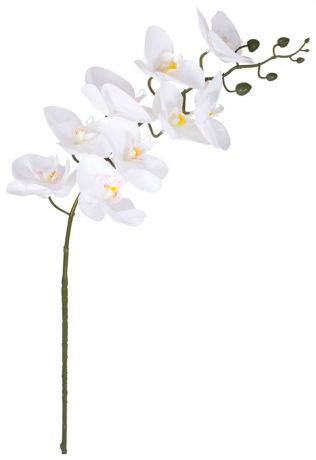 Homephilosophy Ветка орхидеи 102 см, 131230