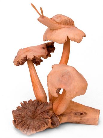 Parasitic Wood 50-002 статуэтка "улитка на грибе" 20см