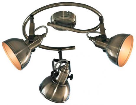 Arte Lamp Спот arte lamp martin a5215pl-3ab