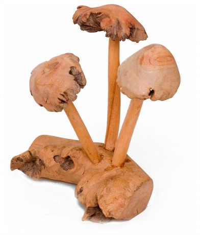 Parasitic Wood 50-013 статуэтка "грибы"