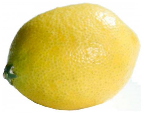 Homereligion Лимон декоративный