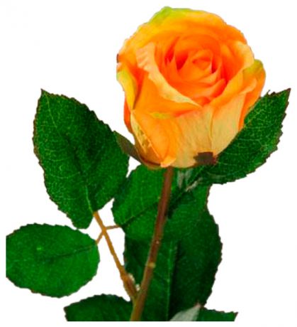 Homereligion Роза оранжевая