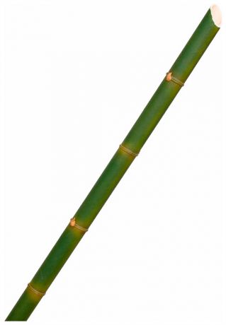 Taiwai Tr 625 бамбук