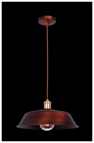 Maytoni Подвесной светильник maytoni pail t027-01-r