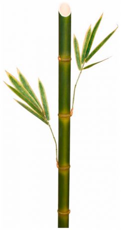 Taiwai Tr 625a стебель бамбука 2 ветки