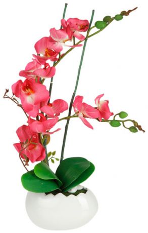 Dream Garden Декоративные цветы орхидея бордо в керамической вазе