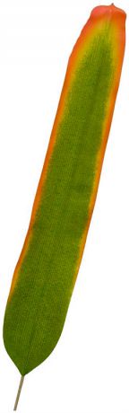Taiwai Tr 569a лист бромелии