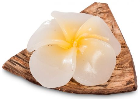 Ingaart 36-011 свеча на кокосовой скорлупе (о.бали)
