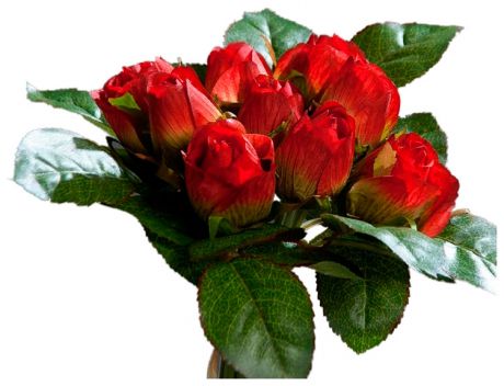 Homereligion Композиция из 9 бутонов красных роз