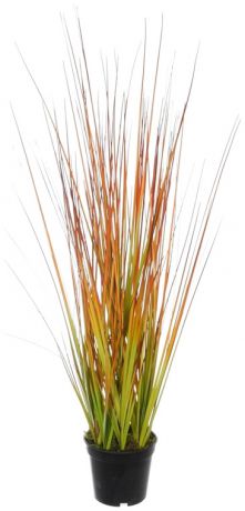 Homereligion Куст травы в горшке 50 см
