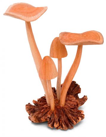 Parasitic Wood 45-035 статуэтка "грибы" 15см