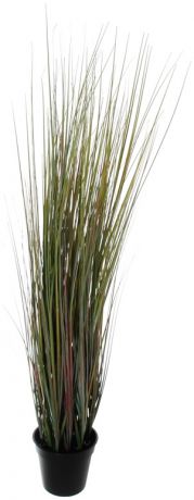 Homereligion Куст травы в горшке 90 см