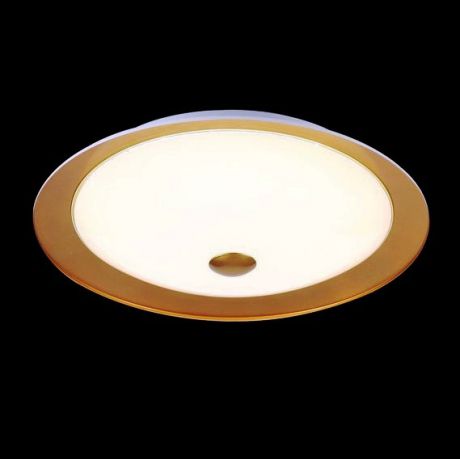 Maytoni Потолочный светильник Euler CL815-PT50-G
