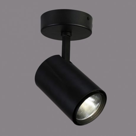 Favourite Точечный светильник Projector 1773-1U