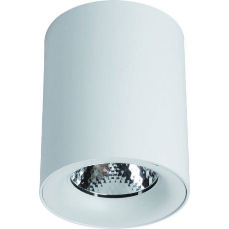 Arte Lamp Точечный светильник FACILE A5130PL-1WH