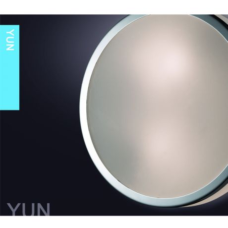 Odeon Light Настенно-потолочный светильник Yun 2177/3C