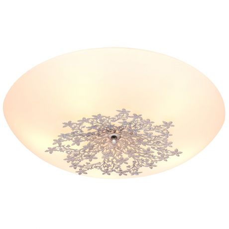Silver Light Настенно-потолочный светильник Verbena 836.50.5