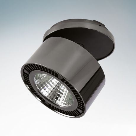 Lightstar Точечный светильник Forte Inca 214808
