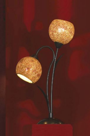 Lussole Настольная лампа Bagheria LSF-6204-02