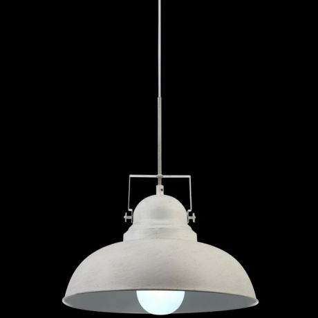 Arte Lamp Подвесной светильник Martin A5213SP-1WG