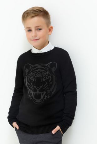 Джемперы Acoola Джемпер детский для мальчиков с принтом тигра цвет черный размер 170 20110310050