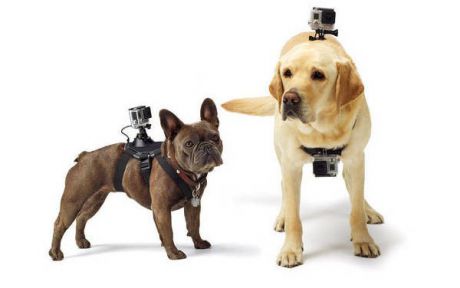 Крепление на собаку GoPro Fetch (Dog Harness)