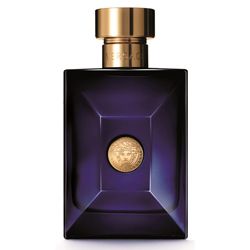 VERSACE VERSACE Pour Homme Dylan Blue Туалетная вода, спрей 100 мл