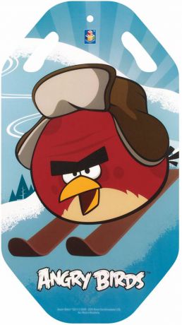 Ледянка 1Toy Angry Birds голубой пластик т57212