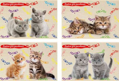 Альбом для рисования Би Джи Пушистые котята a4 8 листов А4ск8 2052 в ассортименте