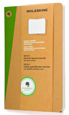 Блокнот Moleskine Evernote skqp422ever XLarge 190х250 мм 120 листов