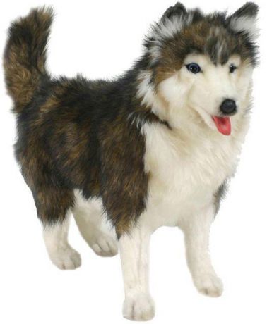 Мягкая игрушка Hansa Собака породы Сибирский Хаски собака белый коричневый синтепон искусственный мех 40 см 4824