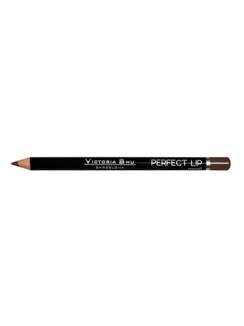 Косметические карандаши Victoria Shu Карандаш для губ "Perfect lip" № 144