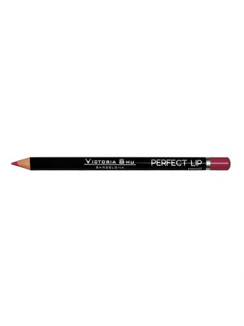 Косметические карандаши Victoria Shu Карандаш для губ  "Perfect lip" № 148