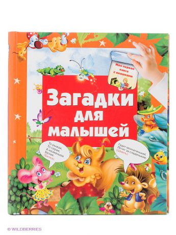 Книги Издательство АСТ Загадки для малышей
